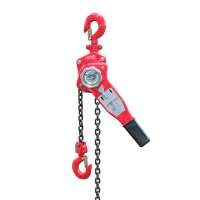 0.75T 3 Ton Ratchet Lever Chain Hoist with low price