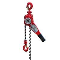 20M 3 ton Chain Lever Block with great price