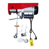 economical direct red mini electric hoist 800kg with low price